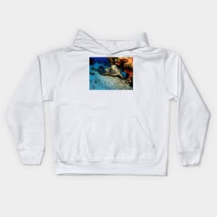 Hawksbill Turtle Under A Coral Ledge Kids Hoodie